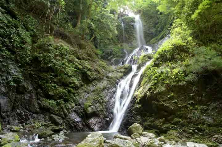 �J��̑�E����